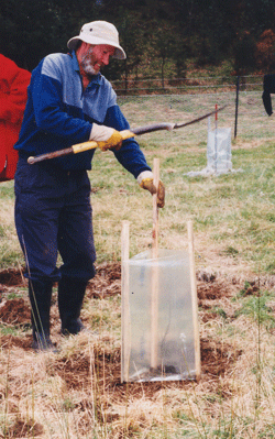 Bagging a newly planted tree