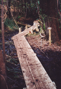 Section of the John Lees Boardwalk