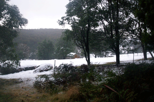 Shed in Snow at Skemps