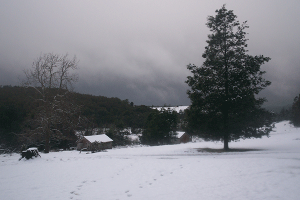 Snow For As Far As You Can See