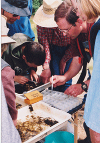 Checking water samples for waterbugs